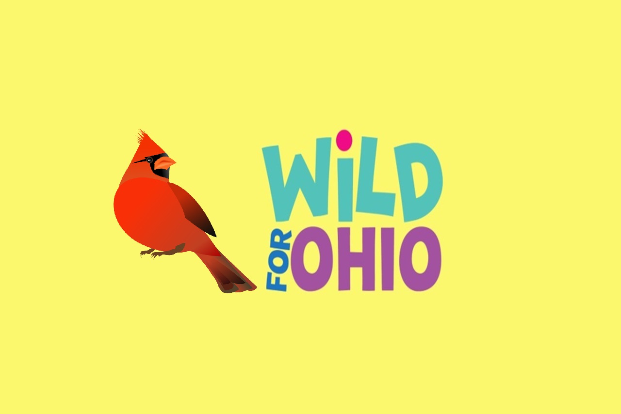 Phrase "Wild for Ohio" written on a pale yellow background.