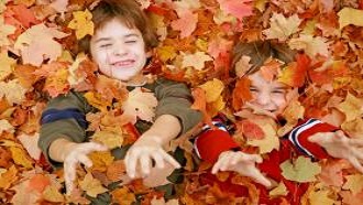Two little boys playing in a pile of leaves.